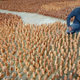 Image for article titled The Strangest Installations and Art Projects on Earth